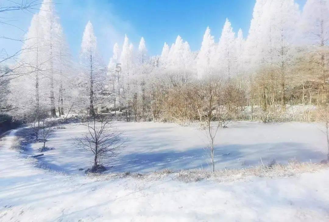 你知道有哪些夏季健康小知识?,专注解答疑问,快速获取帮助