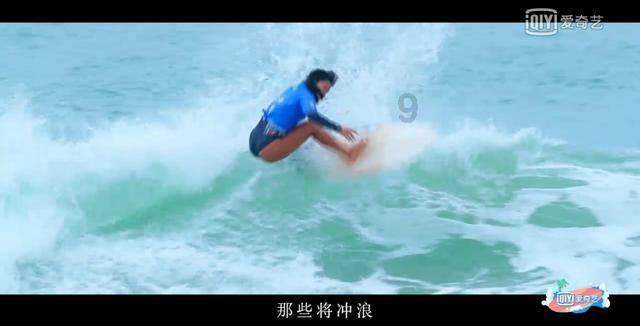 呆萌动物对对碰